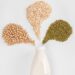 Vegane Pflanzenmilch ganz einfach selbstgemacht | Manu Sarona • health mind spirit Pflanzenmilch vegan Nussmilch
