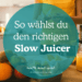 So wählst du den richtigen Slow Juicer Entscheidungshilfe